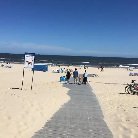 Kaisermoewe Świnoujście