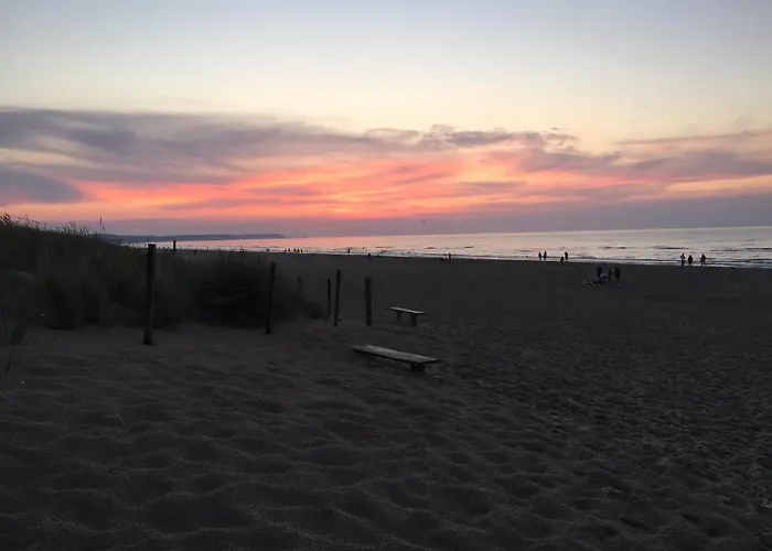 Kaisermoewe Swinoujscie