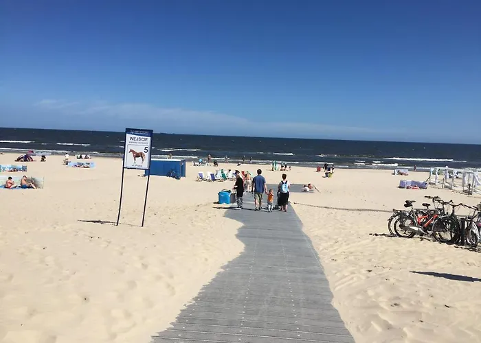 Kaisermoewe Swinoujscie